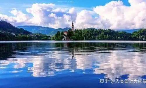 关防风种植方式方法-关防风种植技术视频专区_关防风的种植方法专区_家种关防风的价格网