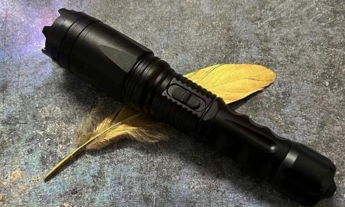 关防风的种植方法-关防风种植技术视频专区_关防风的种植方法专区_家种关防风的价格网